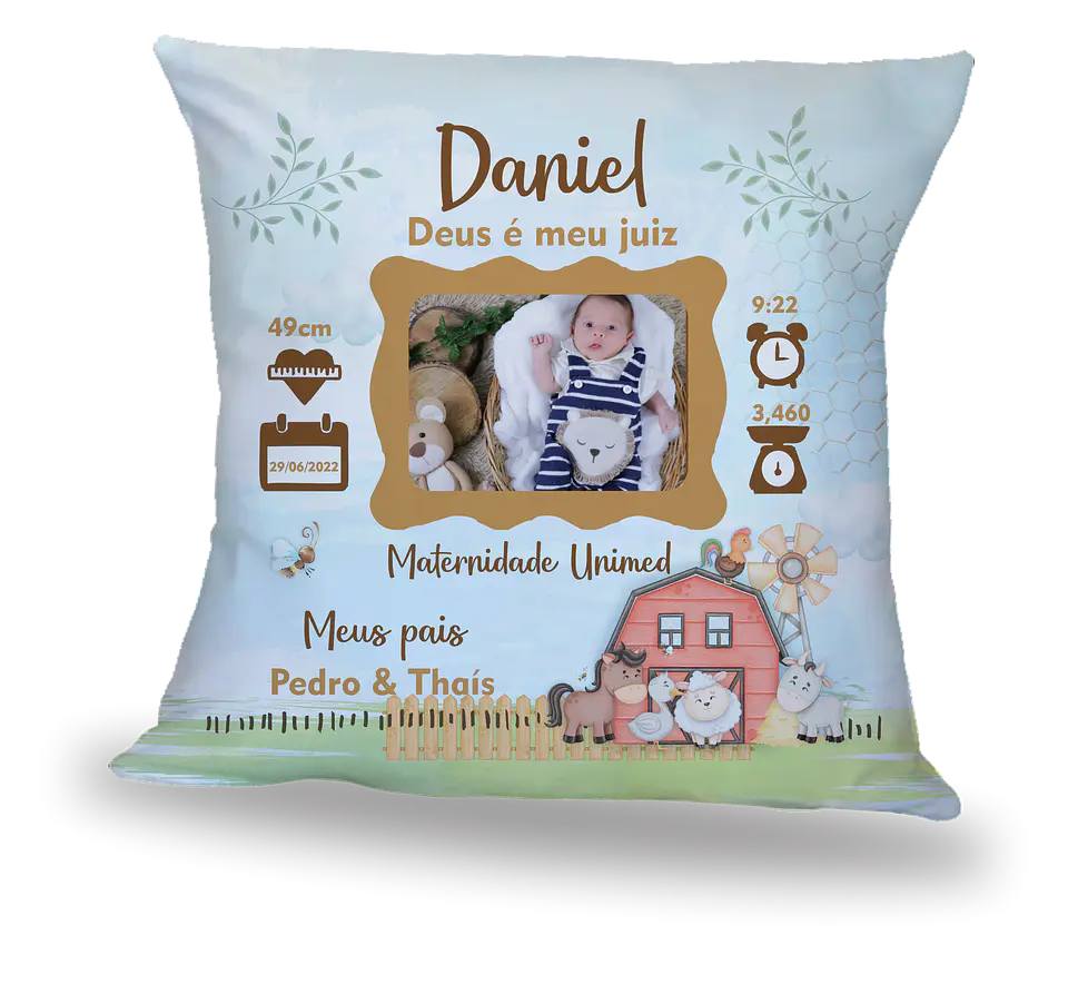 Naninha Pillow Collection  7