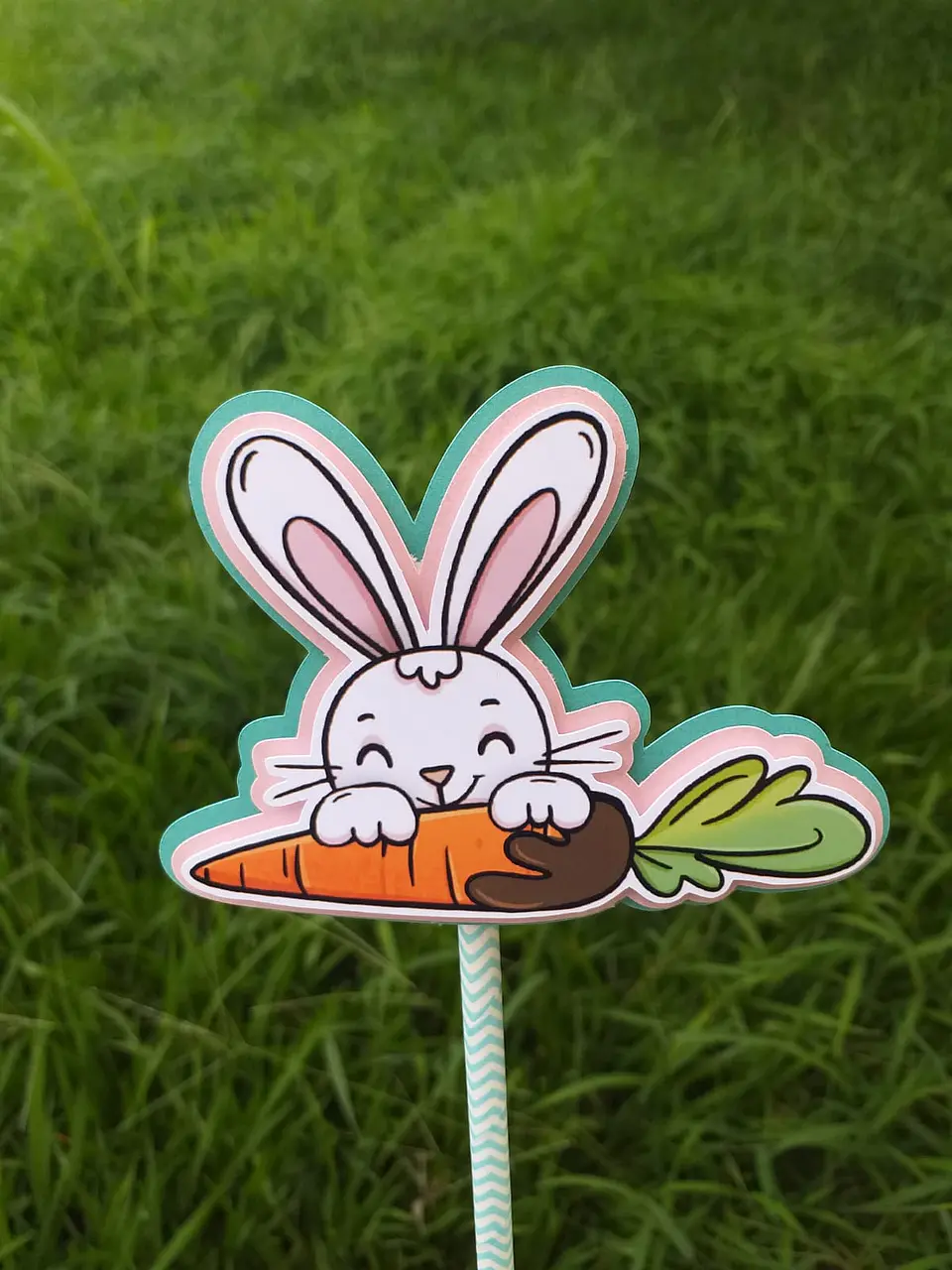 Toppers Coelhos  5