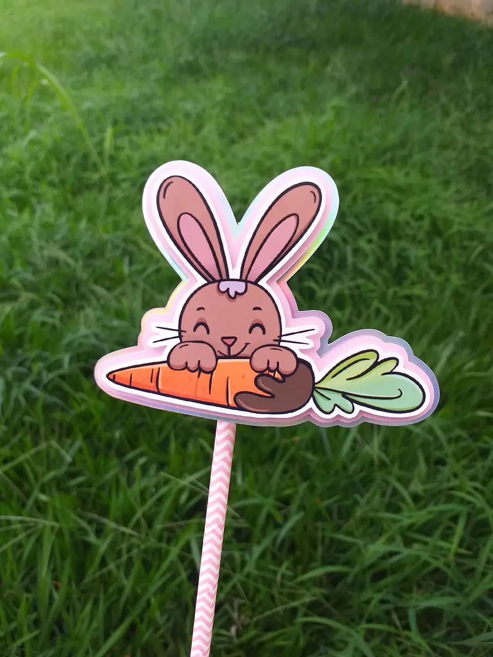 Toppers Coelhos  7