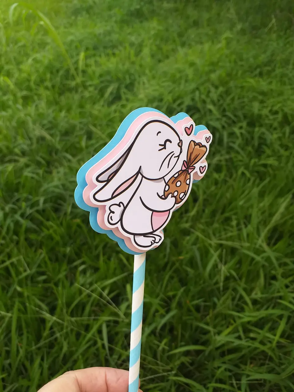 Toppers Coelhos  8
