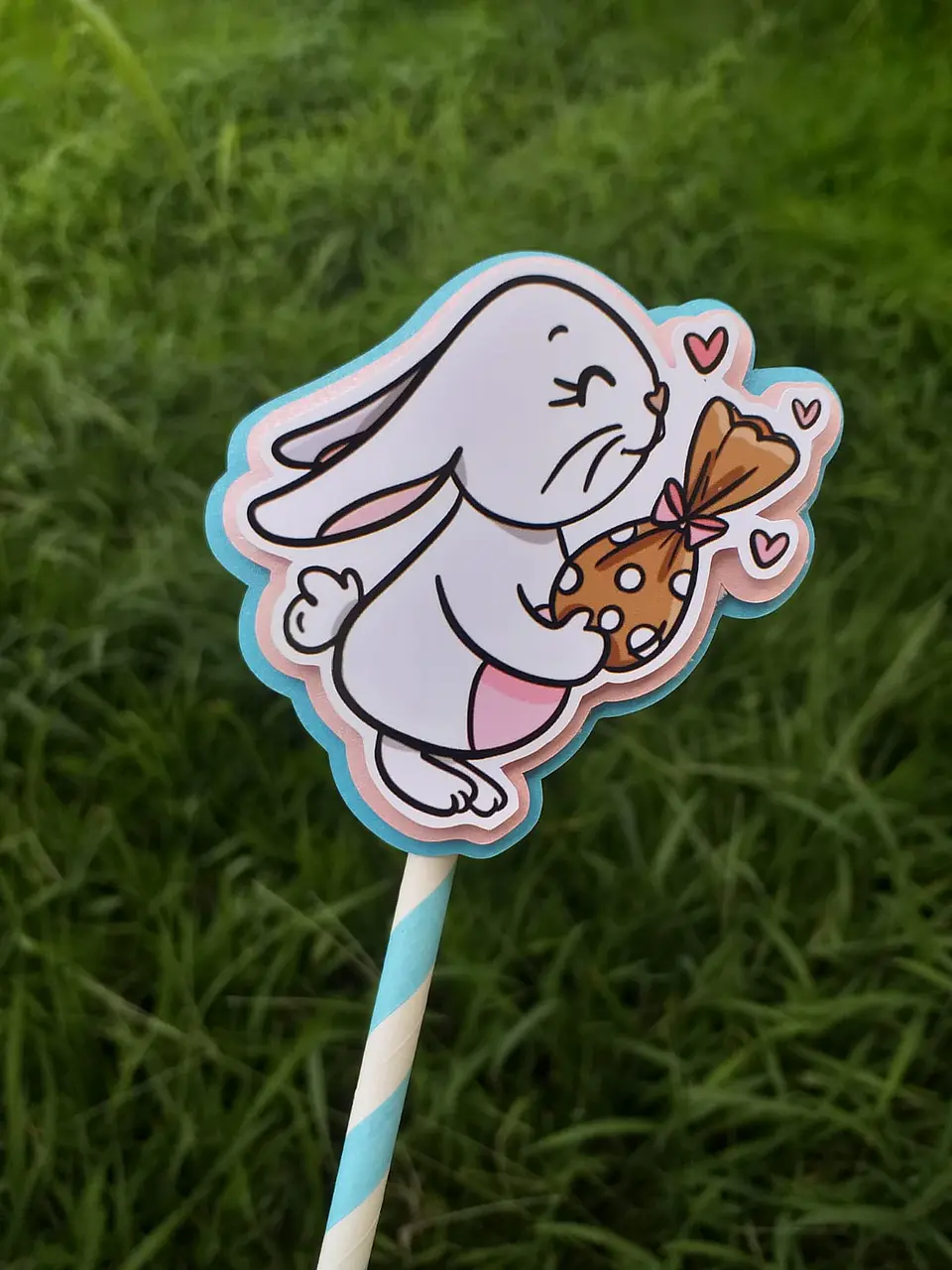 Toppers Coelhos  9