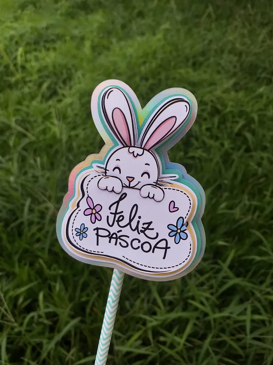 Toppers Coelhos  13