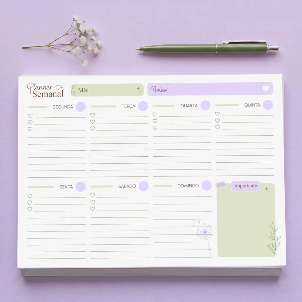 Coleção Planners & Blocos de Organização 3