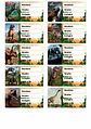 Etiquetas Escolares Personalizadas - thumbnail 47