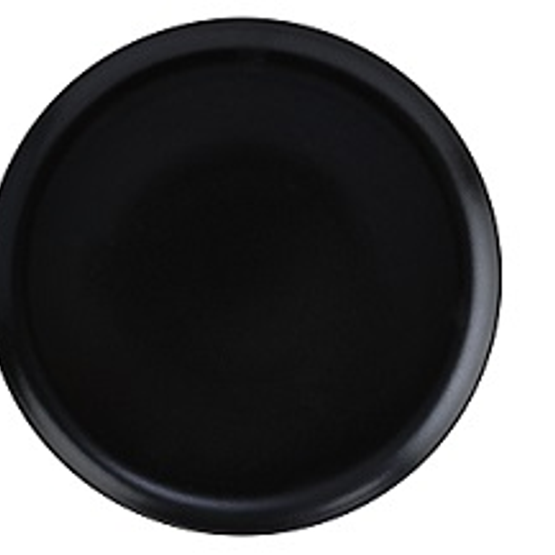 PLATO TENDIDO COUPE 28.4 CM PLUTO REACTIVO PA1941712812 1