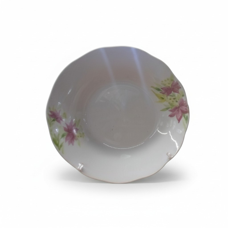 PLATO HONDO LOZA 9\ MOD. A23-05          737