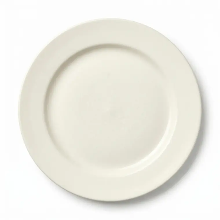 PLATO TENDIDO AMERICANA BLANCO 23.8 CM 1