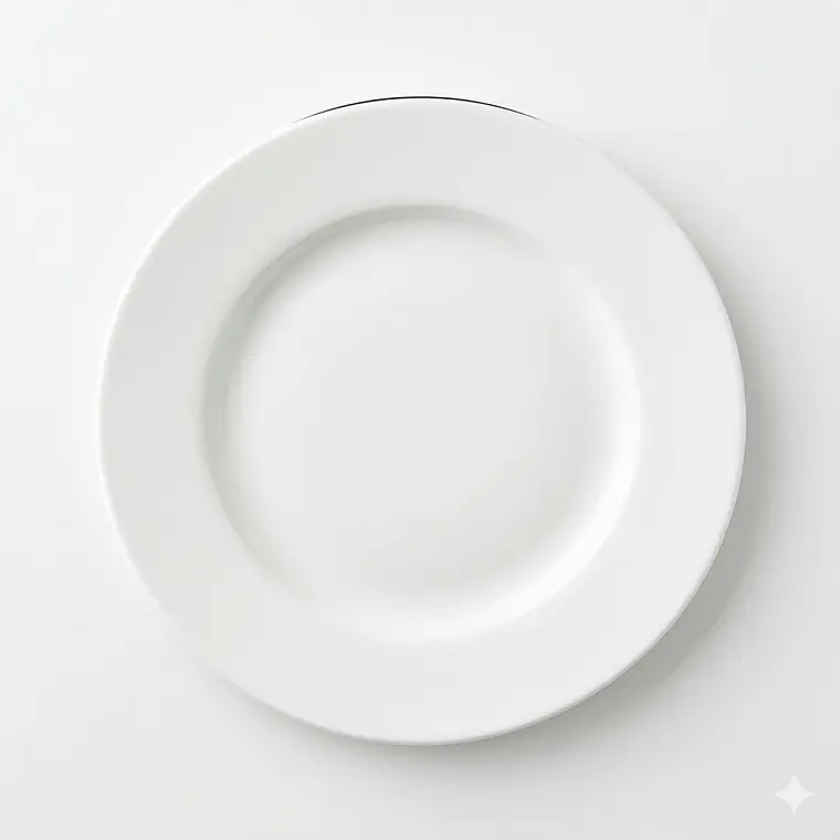 PLATO TENDIDO MENU OPALINE 24 CM 1