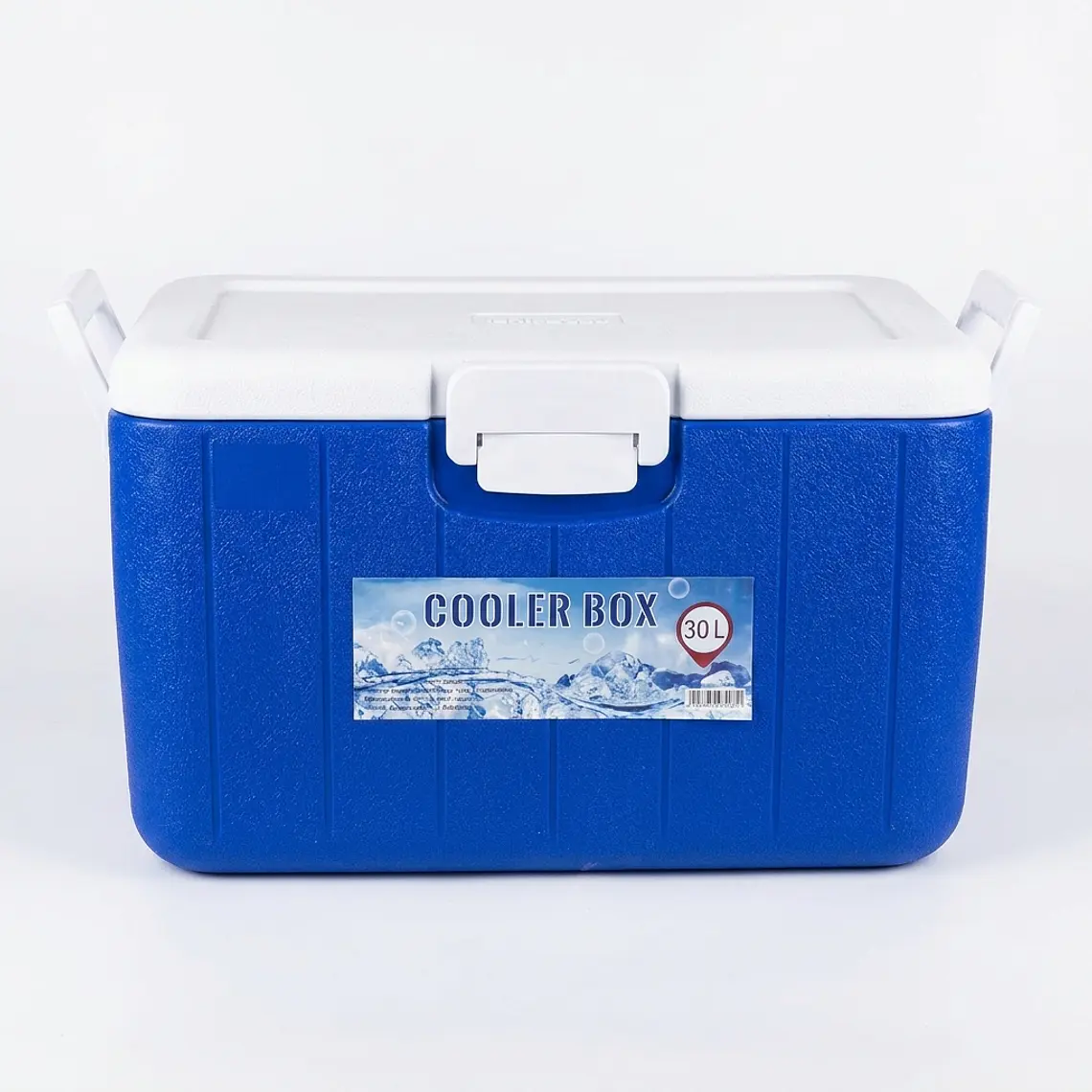 COOLER 30 LT - RECTANG. COLOR AZUL CASAS 1