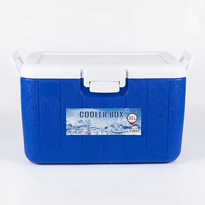 COOLER 30 LT - RECTANG. COLOR AZUL CASAS
