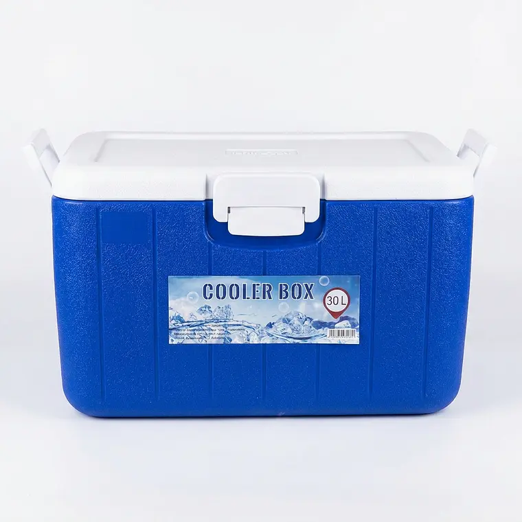 COOLER 30 LT - RECTANG. COLOR AZUL CASAS 1