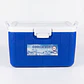 COOLER 30 LT - RECTANG. COLOR AZUL CASAS - Miniatura 1