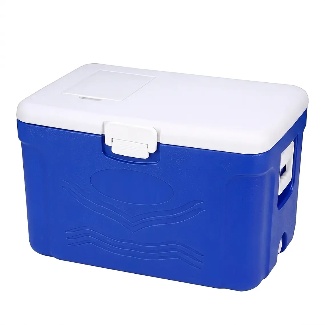 COOLER 50 LT - RECTANG. AZUL CASAS 1