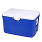 COOLER 50 LT - RECTANG. AZUL CASAS - Miniatura 1