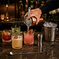 KIT COCKTAIL STARTER ESTILO 5 - Miniatura 3