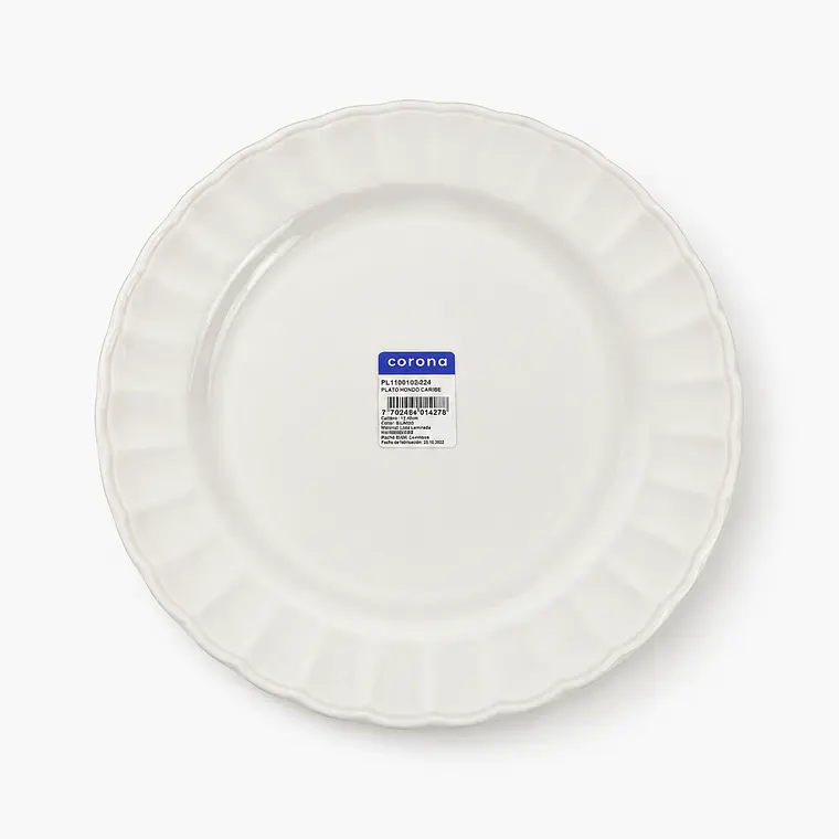 PLATO TENDIDO CARIBE HOGAR - 24 CM 1