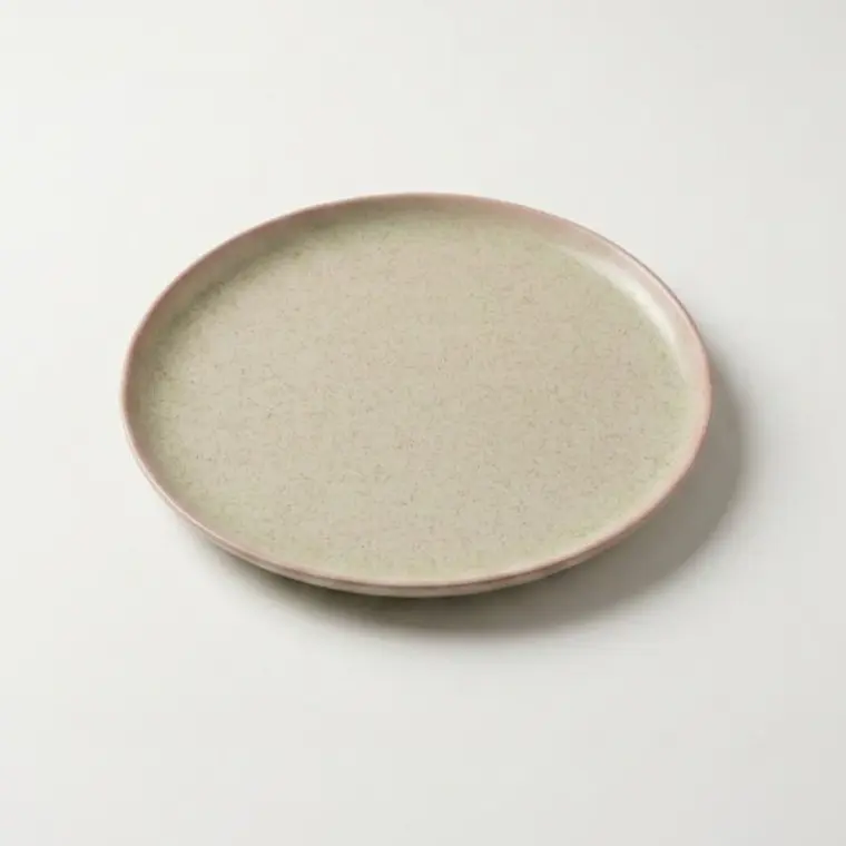 PLATO TENDIDO HOTELWARE 9.5
