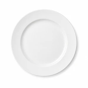 PLATO TENDIDO MENU OPALINE -26.5 CM 