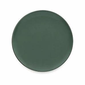 PLATO TENDIDO ESMALTE COLOR VERDE - 25.6 CM