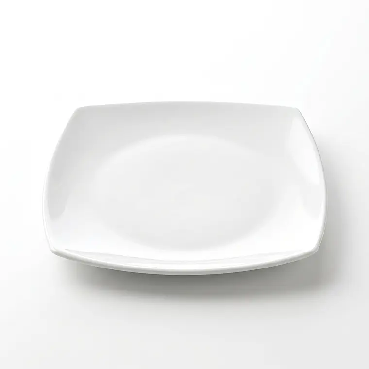 PLATO TENDIDO OSLO SQUARE - 24.4 CM 1