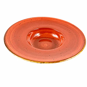PLATO ARUBA OVNI TERRACOTA (25 x 5.5) CM - 10