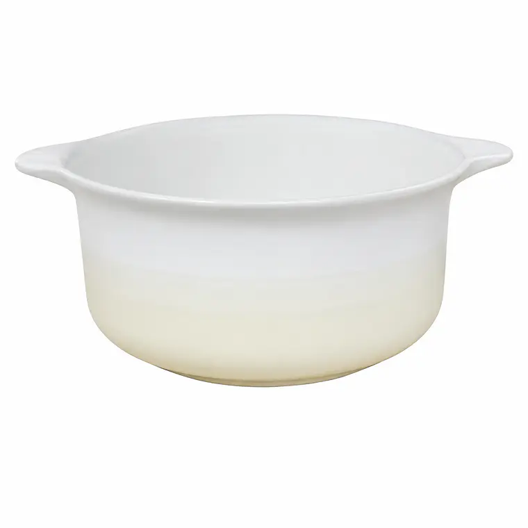 BOWL BICOLOR (18 x 8.2) CM  1