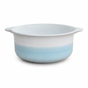 BOWL BICOLOR (18 x 8.2) CM
