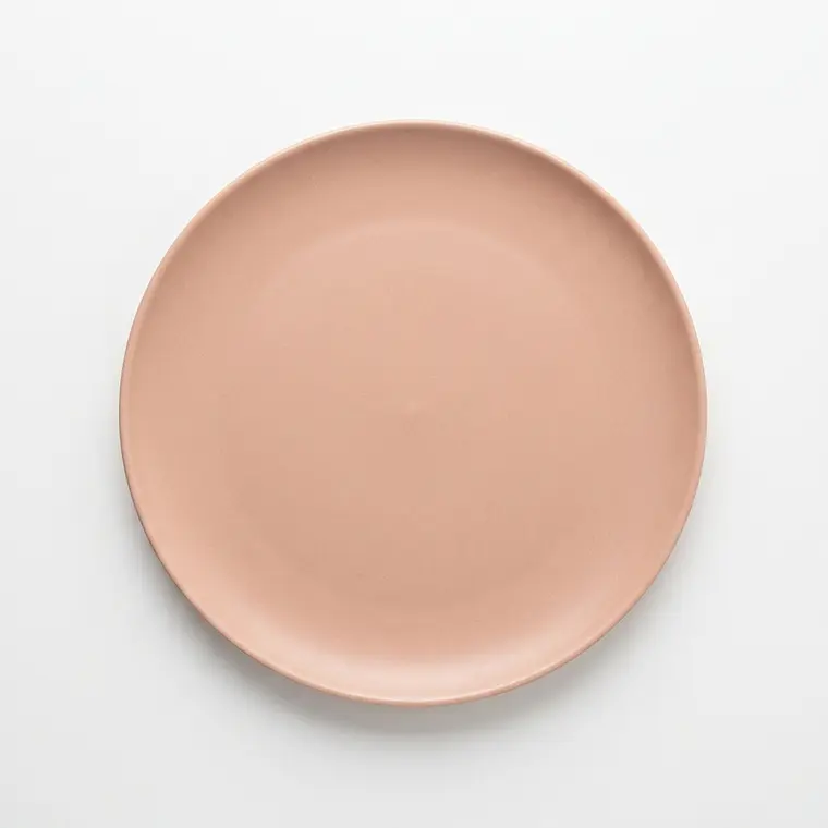 PLATO TENDIDO ESMALTE COLOR NUDE - 25.6CM 1