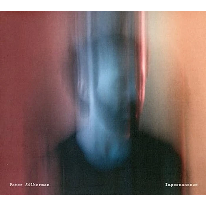 Vinilo Peter Silberman Impermanence 1