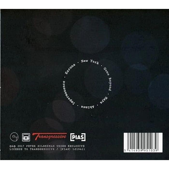 Vinilo Peter Silberman Impermanence 2