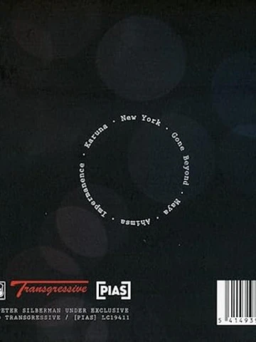 Vinilo Peter Silberman Impermanence