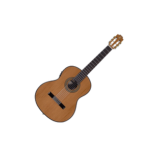 Guitarra electroacústica Admira A1
