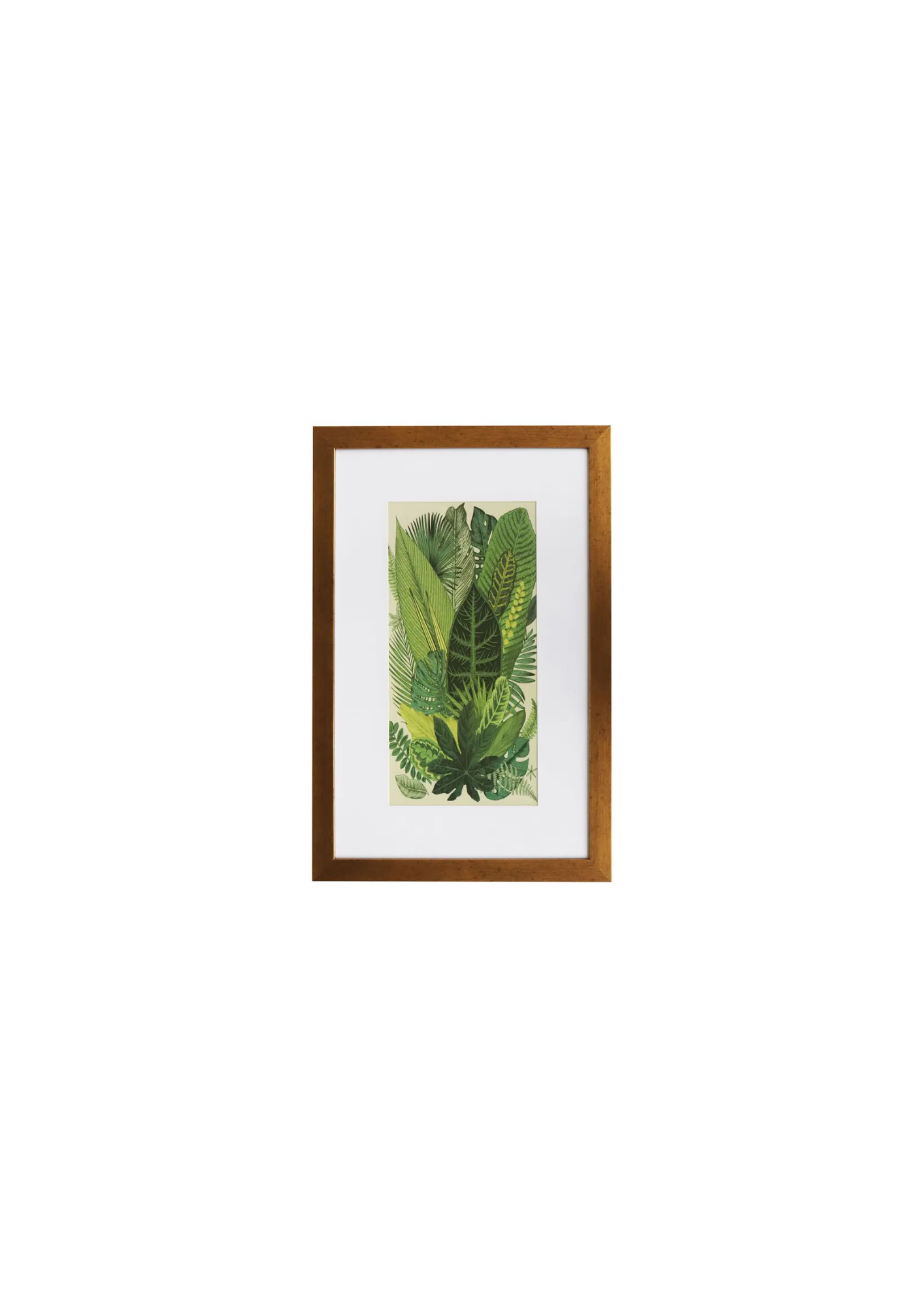 Cuadro 40x60cm hojas verdes marco profundo