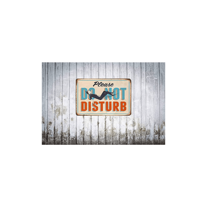 Cuadro metálico Do Not Disturb 20x30cm Vintage 2