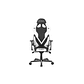 Silla Gamer Pro DXRACER G Series Black/White - Miniatura 1