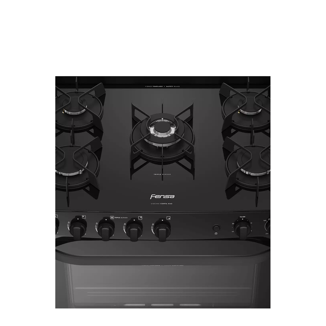 Cocina a Gas 5 Platos VaporBake F 6000 T Fensa 4