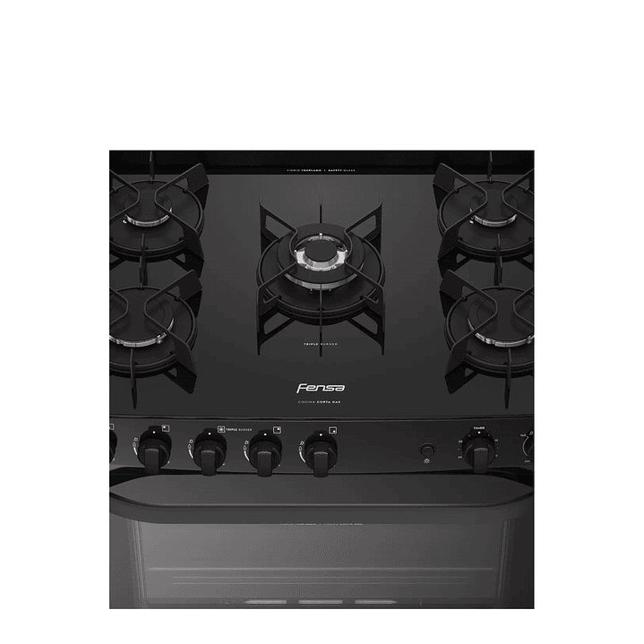 Cocina a Gas 5 Platos VaporBake F 6000 T Fensa 4