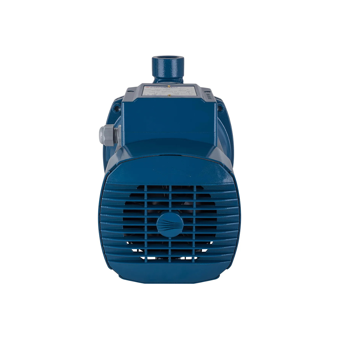 Electrobomba centrífuga CPm 170M 1,5 HP Pedrollo 4