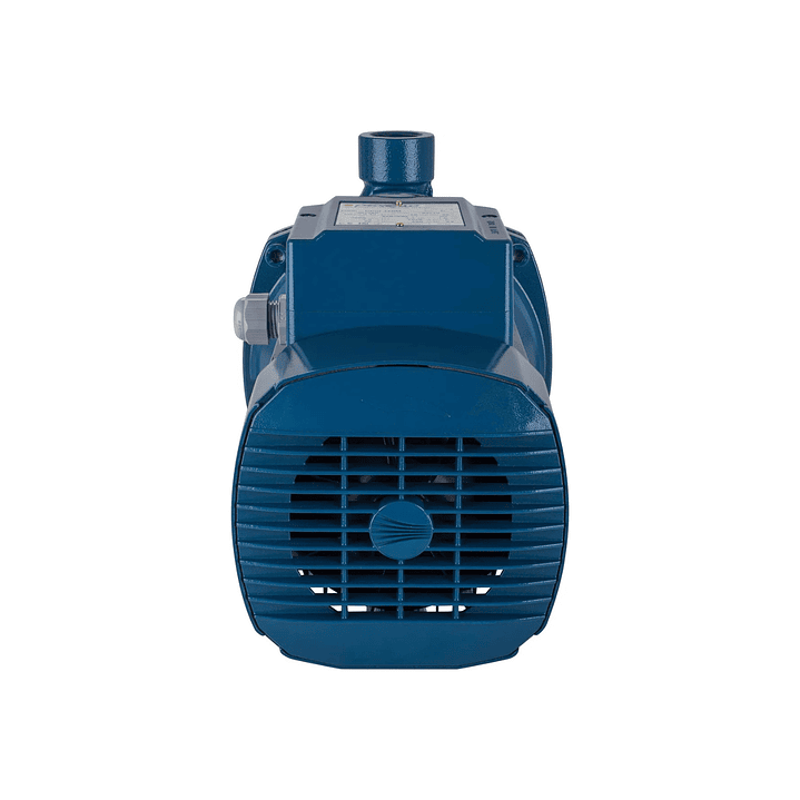 Electrobomba centrífuga CPm 170M 1,5 HP Pedrollo 4