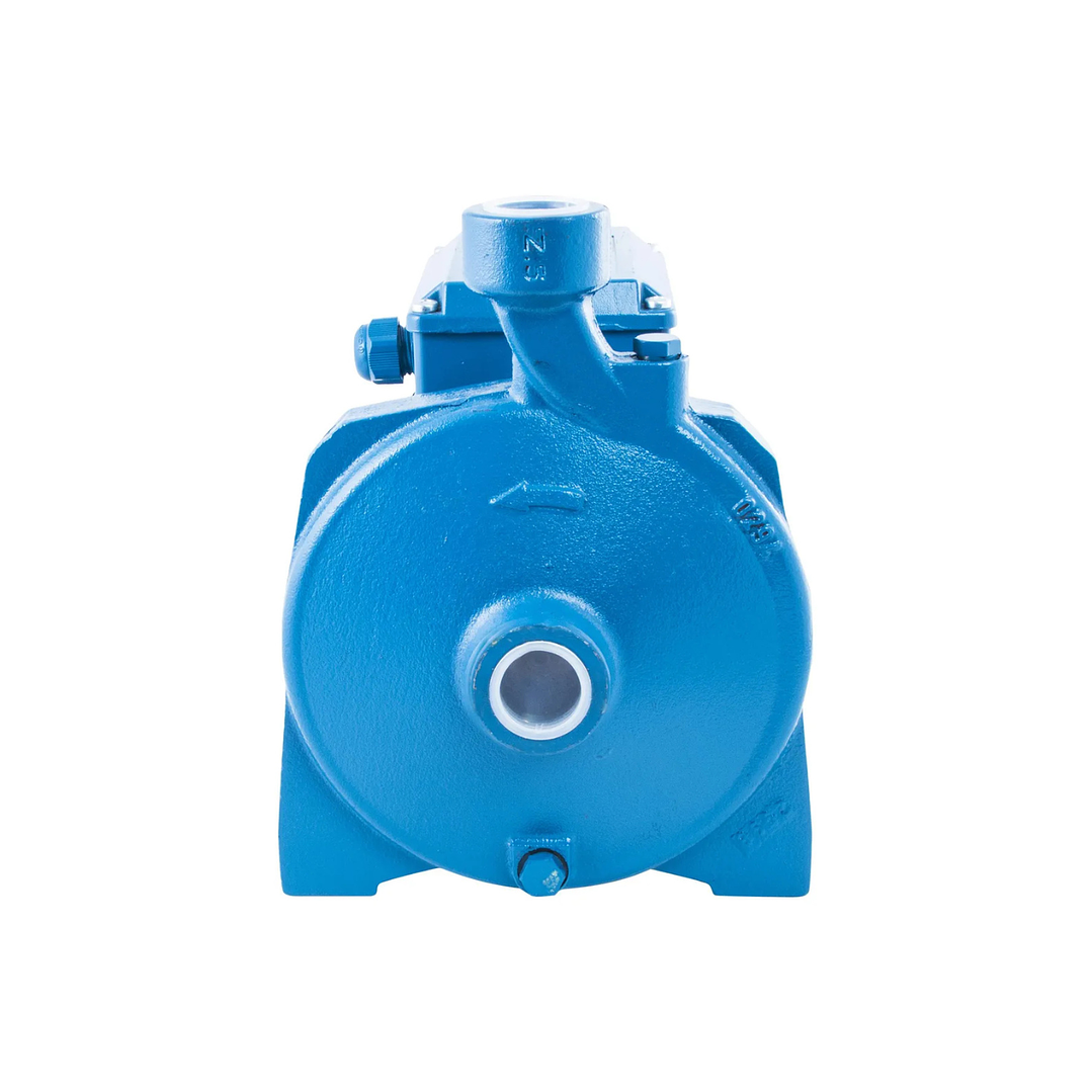 Electrobomba centrífuga 1 HP 100 l/min 4