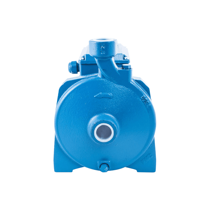 Electrobomba centrífuga 1 HP 100 l/min 4