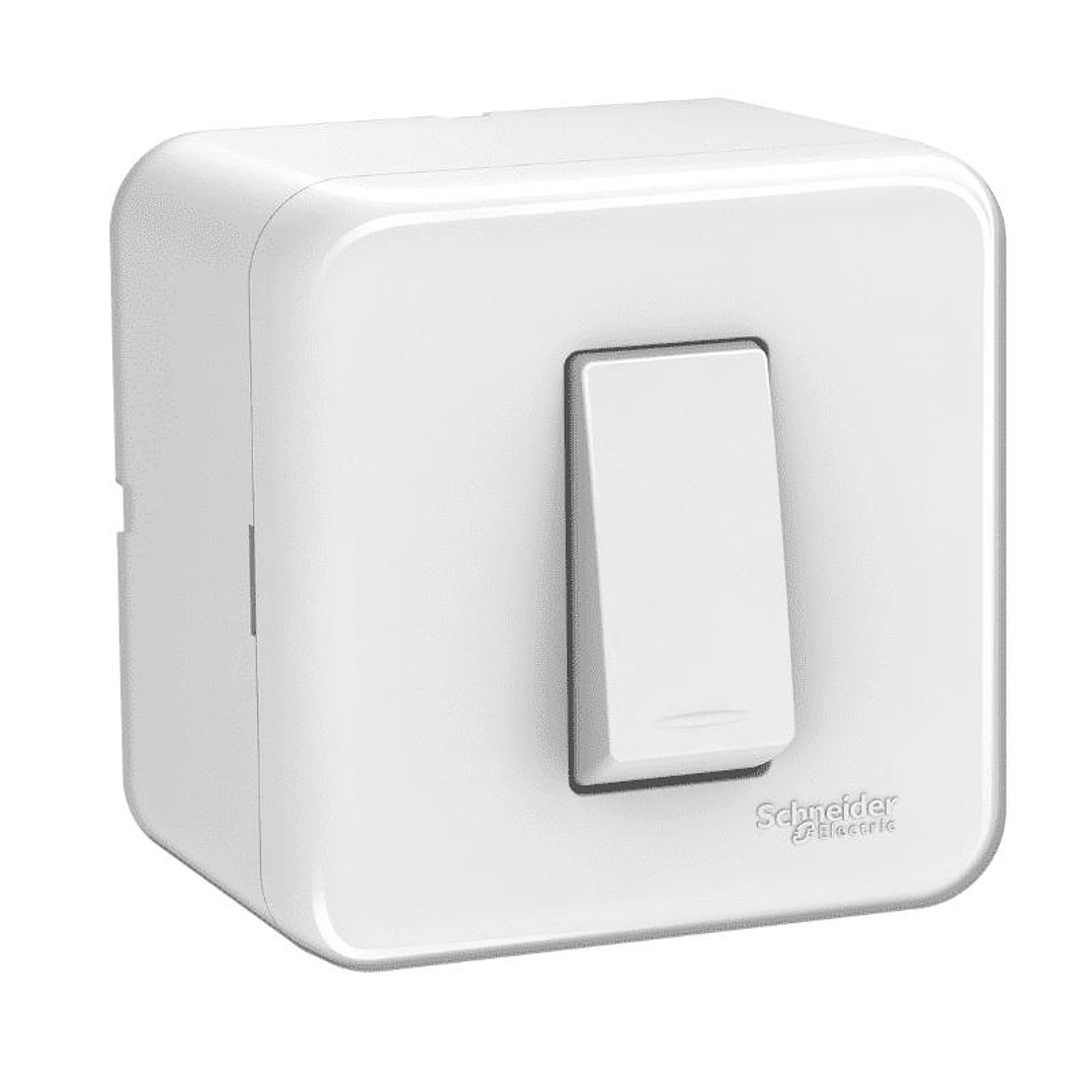 Casquete timbre Génesis blanco Schneider  2