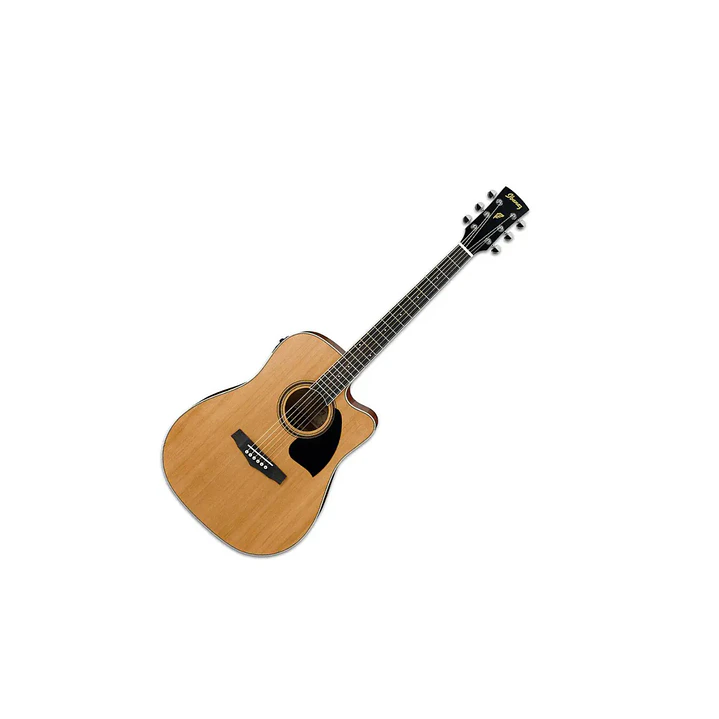 Guitarra Electroacústica Metal Ibanez PF17ECE-LG 2