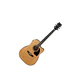 Guitarra Electroacústica Metal Ibanez PF17ECE-LG - Miniatura 2