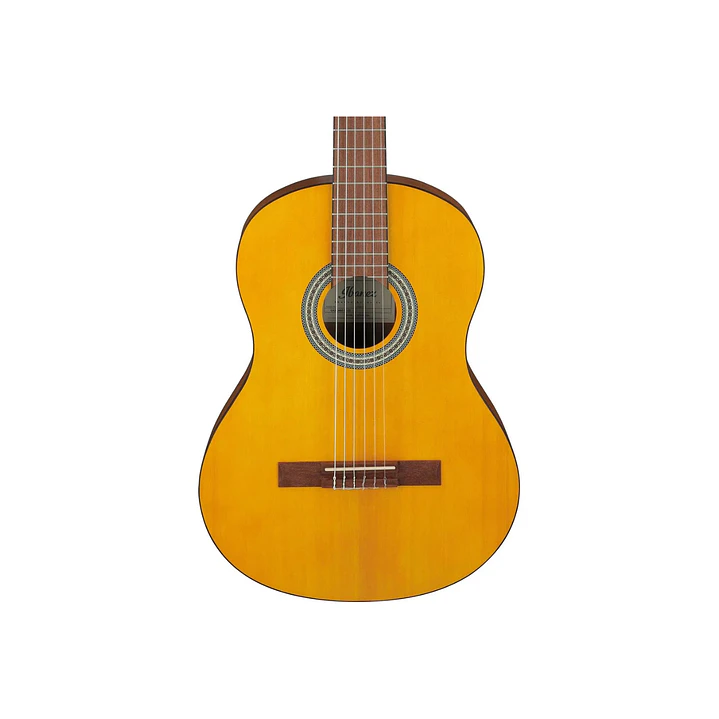 Guitarra Acústica Ibanez GA3-OAM 2