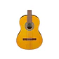 Guitarra Acústica Ibanez GA3-OAM - Miniatura 2