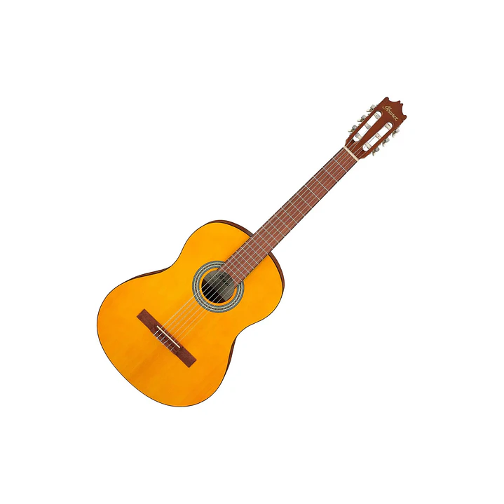 Guitarra Acústica Ibanez GA3-OAM 1