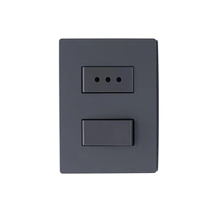Interruptor + Enchufe 10A armado Grey Mate S32