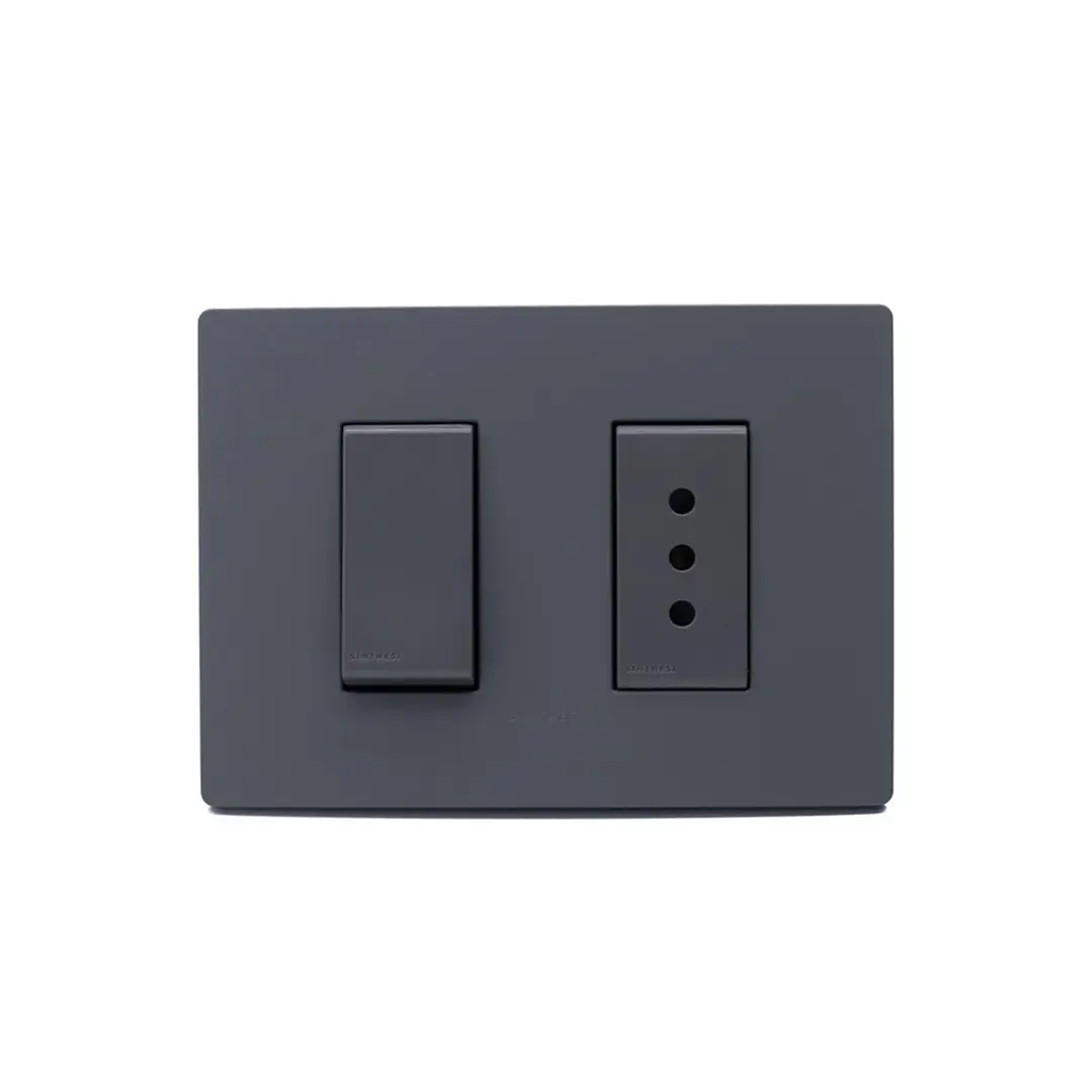 Interruptor + Enchufe 10A armado Grey Mate S32 2