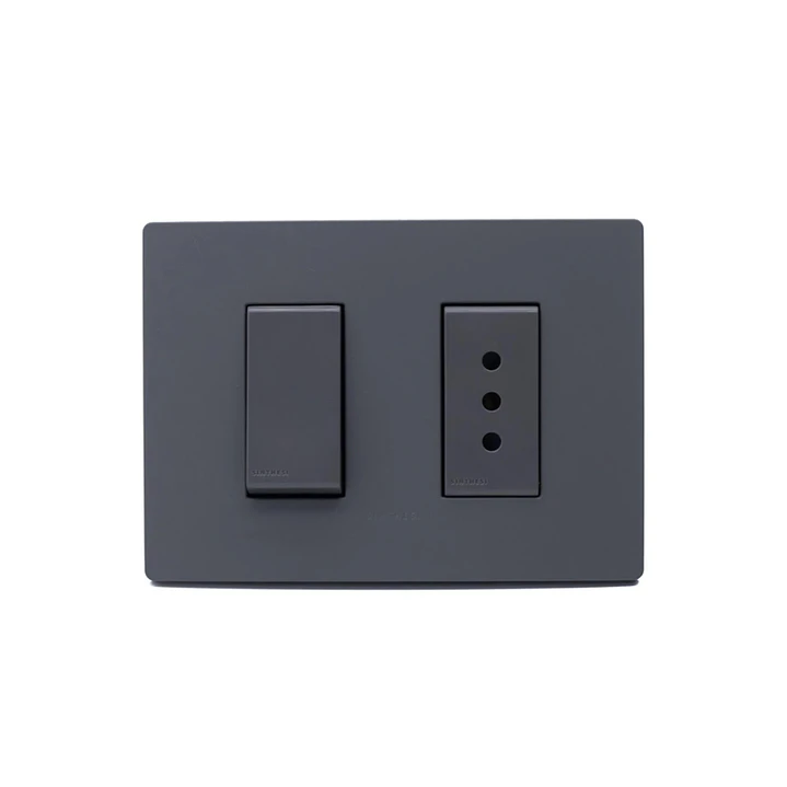 Interruptor + Enchufe 10A armado Grey Mate S32 2